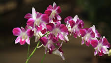 How It's Made (S21 E3)