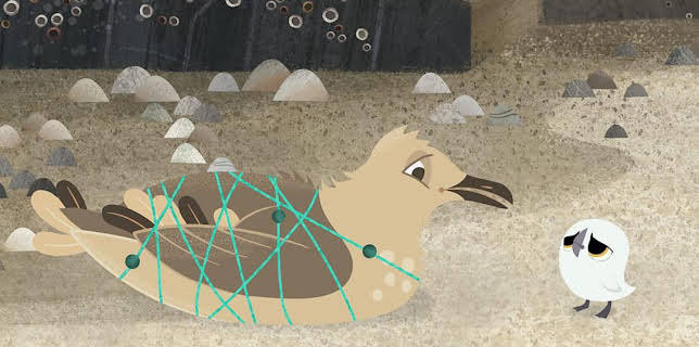 1:00 PM: Puffin Rock (S1) | Cbeebies | 3/3 2026