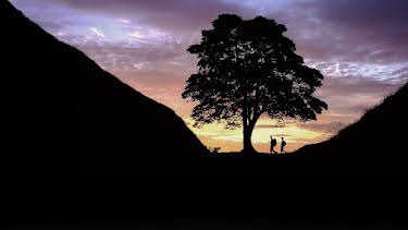 5:55 PM: Love Nature (S1 E38) (S1) | Channel 5 | 9/24 2026