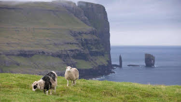04:35: Färöer | MDR Fernsehen | 12/5 2025