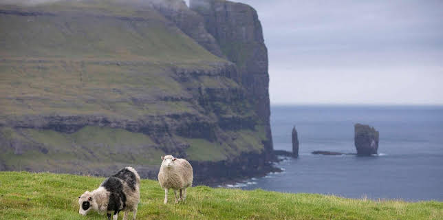 05:35: Färöer | MDR Fernsehen | 11/30 2025