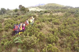 Ainori Love Wagon: African Journey: El Kilimanjaro: Prólogo