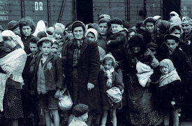 Auschwitz: The Nazis and the Final Solution: Frenzied Killing