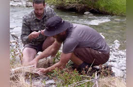 Kiwi Survival: Cave Torch