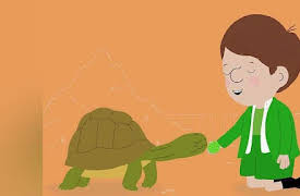 Peek Zoo: Kitty Cuddles