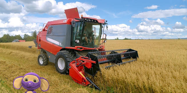 16:50: Fantus jïh maasjinah: Gernietjoehpije - Skurtresker | NRK Super | 1/10 2026