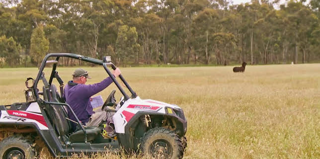 08:50: Guldjägarna i Australien (S8 E17) (S8) | TV10 | 11/19 2025