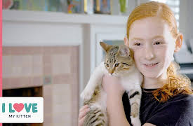 I Love: My Kitten