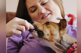 Road to Puppy Bowl: Hard Knocks Rescue