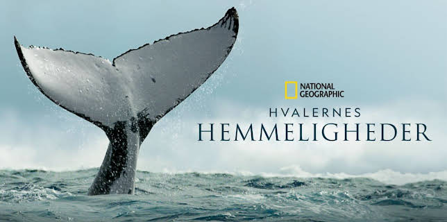 Secrets of the Whales