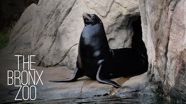 23:00: The Bronx Zoo (S1 E2) (S1) | Animal Planet | 3/29 2026