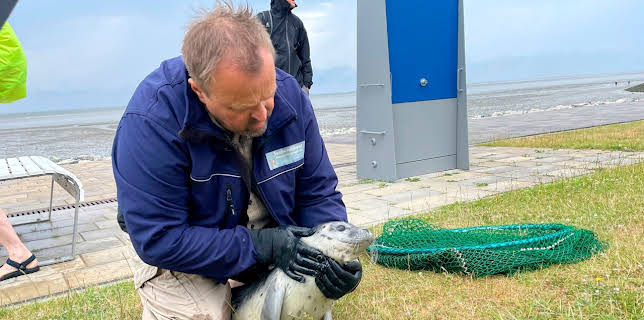 13:30: Die Nordreportage: Zwischen Herd und Heulern | NDR Fernsehen | 12/20 2025