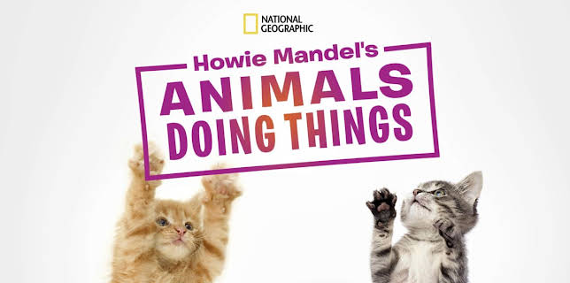 Howie Mandel's Animals Doing Things