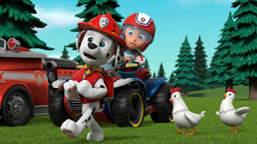 8:35 AM: PAW Patrol (S9 E14) (S9) | Channel 5 | 10/17 2026