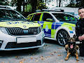 Police Interceptors