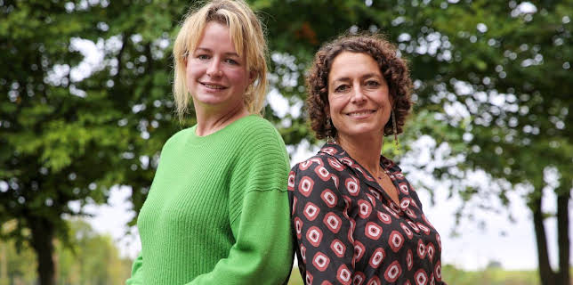 10:00 AM: The Hotel Inspector (S19 E3) (S19) | 5 Star | 11/8 2025