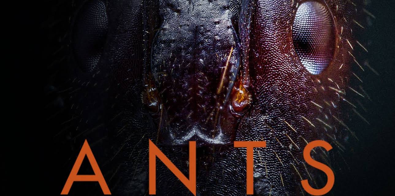 Ants (2023)
