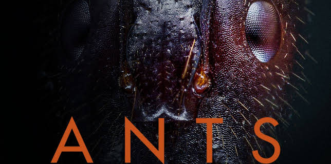 Ants (2023)