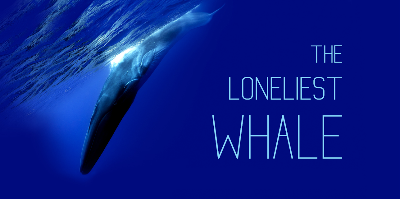 The Loneliest Whale (2021)