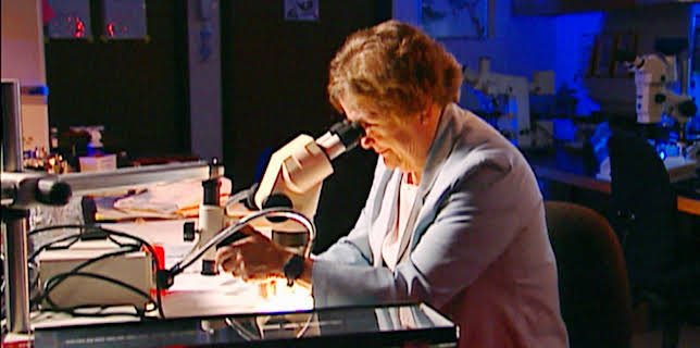 03:50: Medical Detectives - Geheimnisse der Gerichtsmedizin | VOX | 12/12 2025