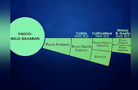 Language Families of the World: Nilo-Saharan: Africa’s Hardest Languages?