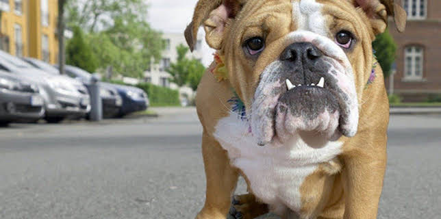 01:10: 111 | Sat1 | 12/20 2025