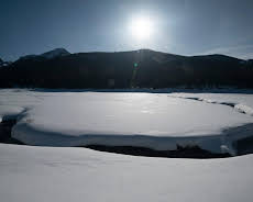 The Earthshot Prize - Repairing Our Planet