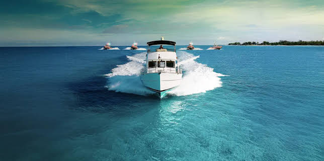 Contraband: Seized at Sea