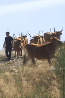 00:15: Cos pés na terra | TV Galicia | 3/30 2026