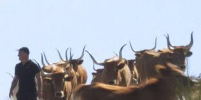 23:00: Cos pés na terra | TV Galicia | 3/8 2026