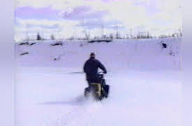 Life's Funniest Moments: Don't Feed The Birds