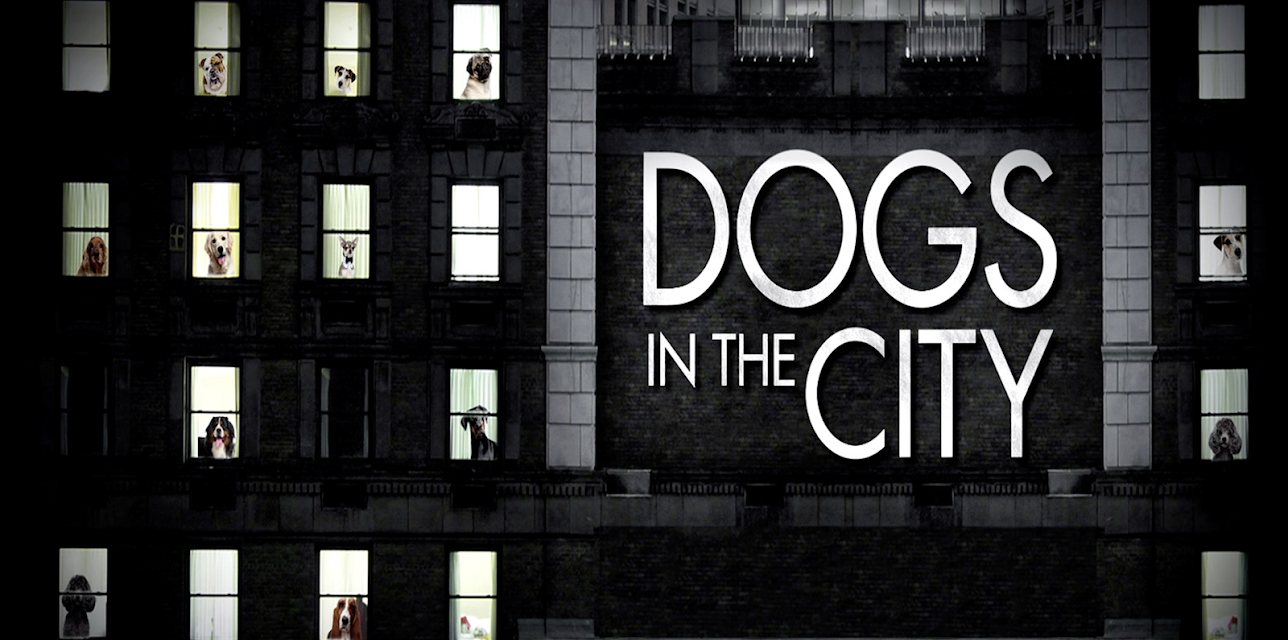 Dogs In The City Season 1