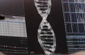 England: From the Fall of Rome to the Norman Conquest: The Germanic Migrations to Britain