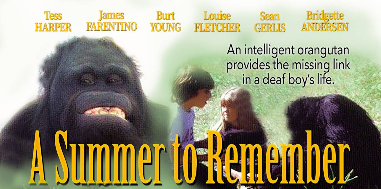 A Summer to Remember (1985)