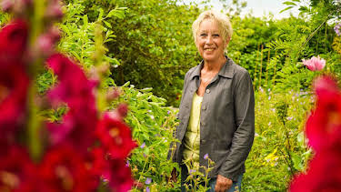 3:25 PM: Carol Klein's Summer Gardening (S1 E6) (S1) | Channel 5 | 6/20 2026