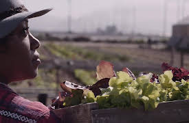 Heritage: Contemporary California Cuisine in Venice