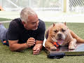 Cesar Millan: Better Human Better Dog - Bessere Menschen, bessere Hunde