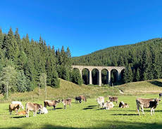Länder - Menschen - Abenteuer