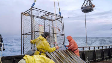 1:00 AM: Deadliest Catch (S20) | Discovery Channel | 10/15 2026