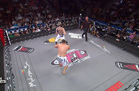 MMA Plus Season One: Roy Nelson vs. Brad Imes