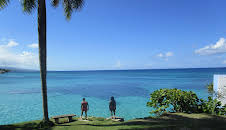 Caribbean Life (S4 E6)