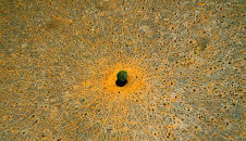 Natur - Die Geschichte unseres Planeten