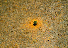 Natur - Die Geschichte unseres Planeten