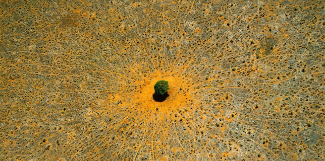 20:15: Natur - Die Geschichte unseres Planeten | 3SAT | 12/15 2025