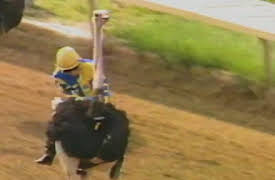 Sports Gone Wild: Season 1 Sports Gone Wild: Skydiving With Snowboards, Souvenir Fan Grabs, Olympic Bike Wipeout