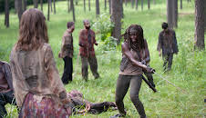 The Walking Dead (S4 E9)