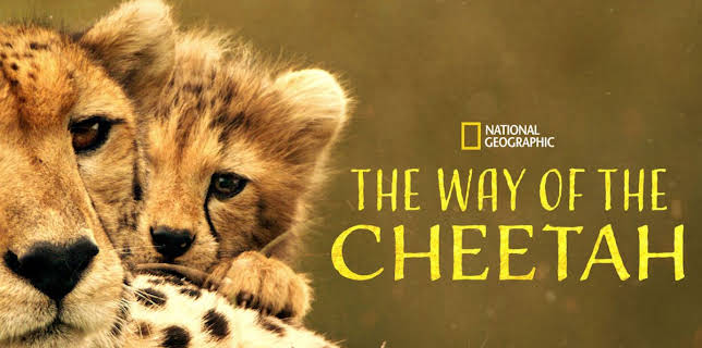The Way of the Cheetah (2022)