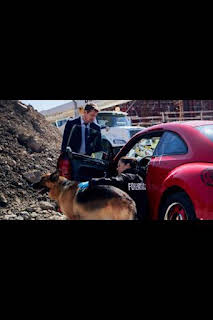 11:26: Hudson y Rex (T2): Ep.4 Los bosques tienen ojos | AXN | 4/9 2026