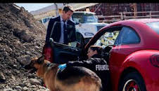 Hudson y Rex (T2): Ep.4 Los bosques tienen ojos