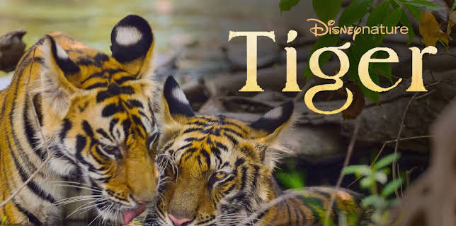 Tiger (2024)